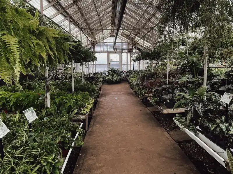 Picking plants for a new bed at a local greenhouse