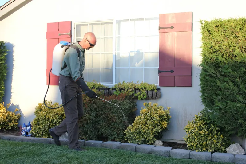 A lawn and shrub treatment along a house